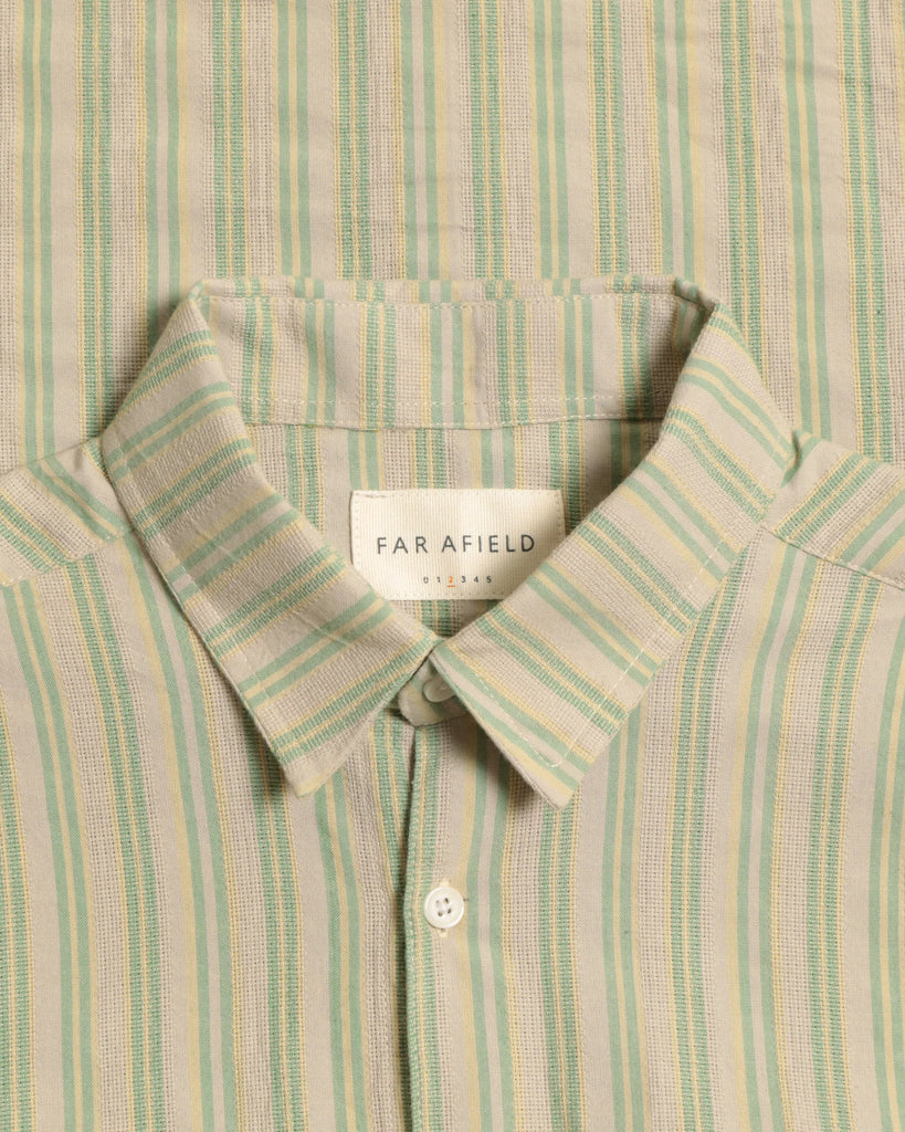 PICCI STRIPE GREEN SHIRT